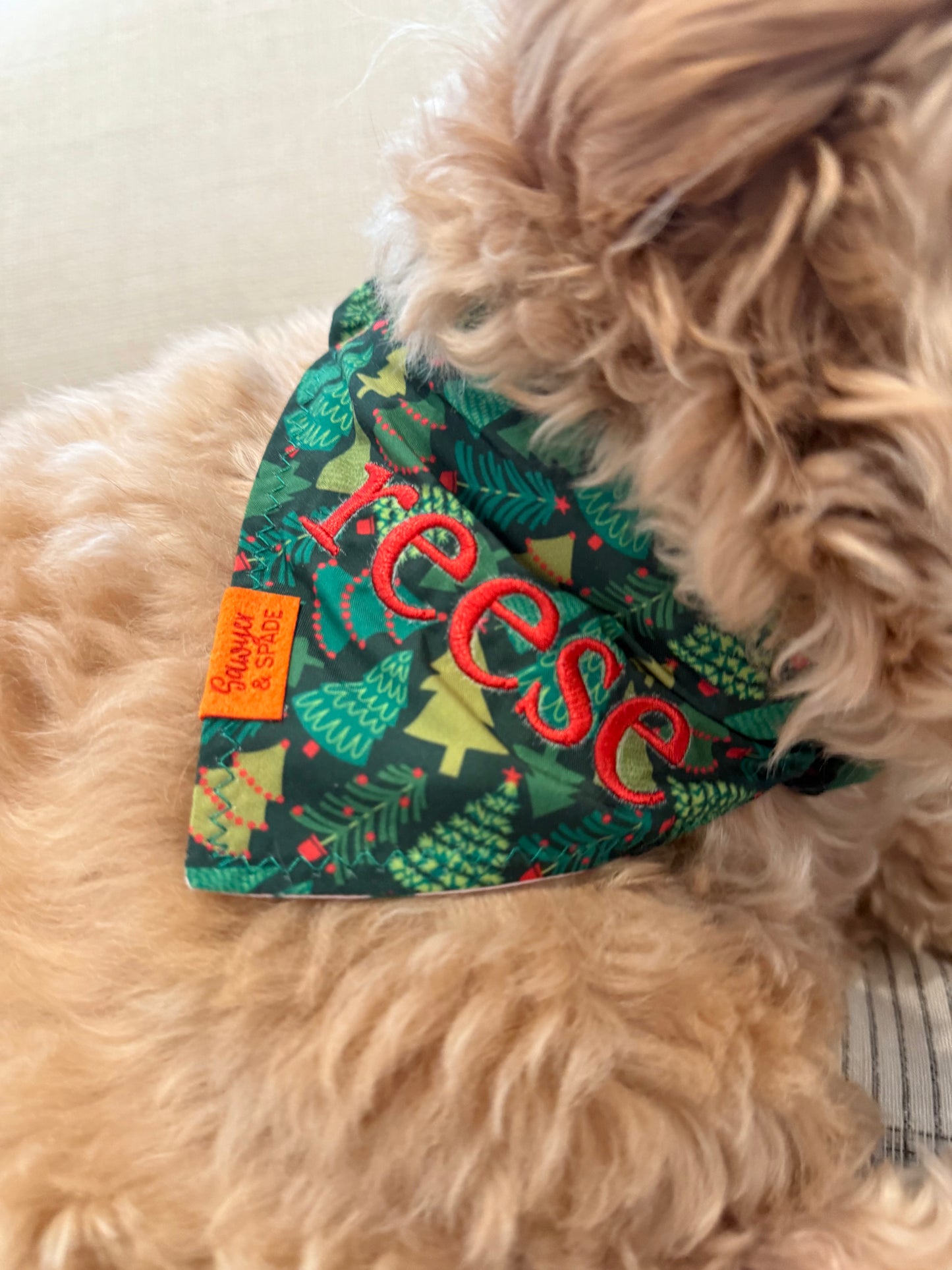 Reversible Holiday Pet Bandana (SS x Freak'n Dog Moms)